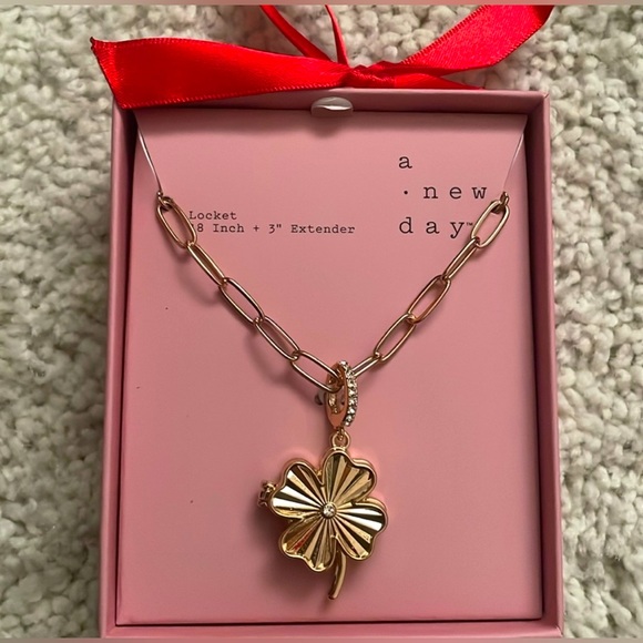 a new day Jewelry - A new day locket necklace NEW!